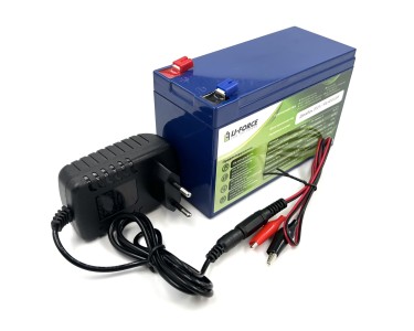 Комплект- Аккумулятор 12В 12Ач LF-1212-10824 (LiFePO4, 4S3P, P)+ЗУ 2А 14,4В