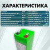 Аккумуляторная батарея 12В 5,0Ач LF-105-11455 (Li-Ion, 3S1P, BAK N21700CG, P) фото 0