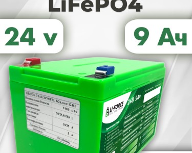 Аккумулятор 24В 9Ач LF-249-12461 (LiFePO4, 8S2P, CBAK 26700FB2, P)
