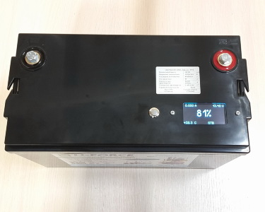 Аккумуляторная батарея 12В 160Ач LF-12160-9574 (LiFePO4, 4S2P, EVE LF80A, SMART, P)