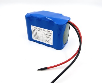 Аккумулятор 12В 6Ач LF-126-9589 (LiFePO4, 4S2P, T)