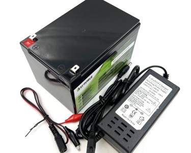 Комплект- Аккумулятор 12В 12Ач LF-1212-11666 (LiFePO4, 4S2P, P)+ЗУ 5А 14,4В