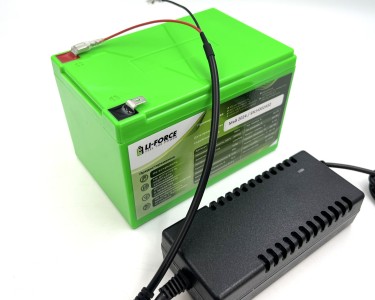 Комплект- Аккумулятор 12В 20Ач LF-1220-11634 (LiFePO4, 4S3P, P)+ЗУ 5A 14,4В